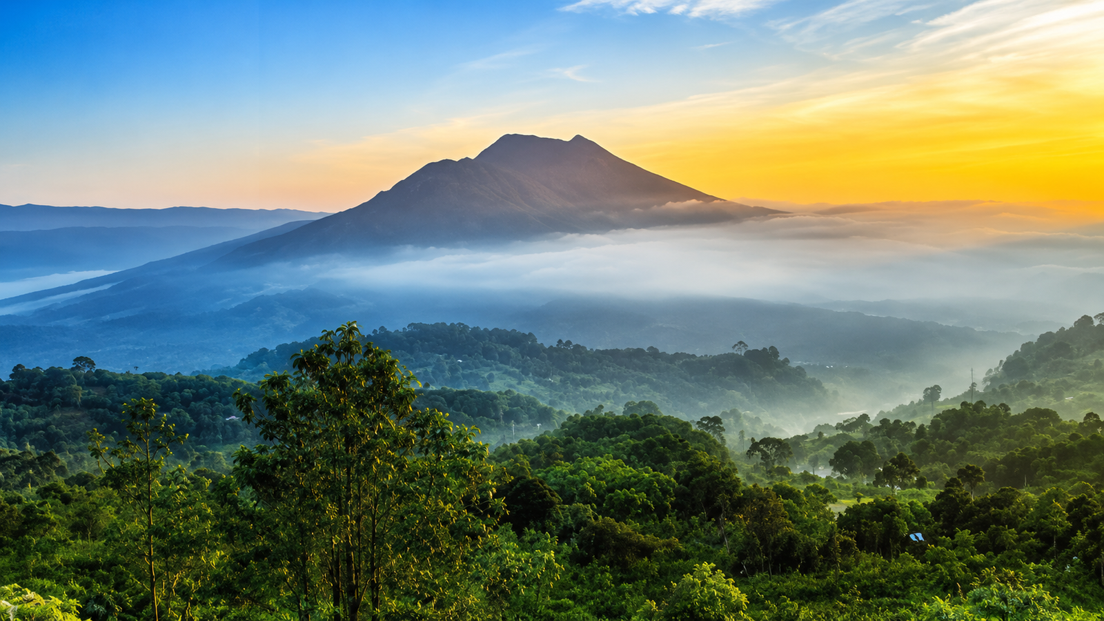 kintamani