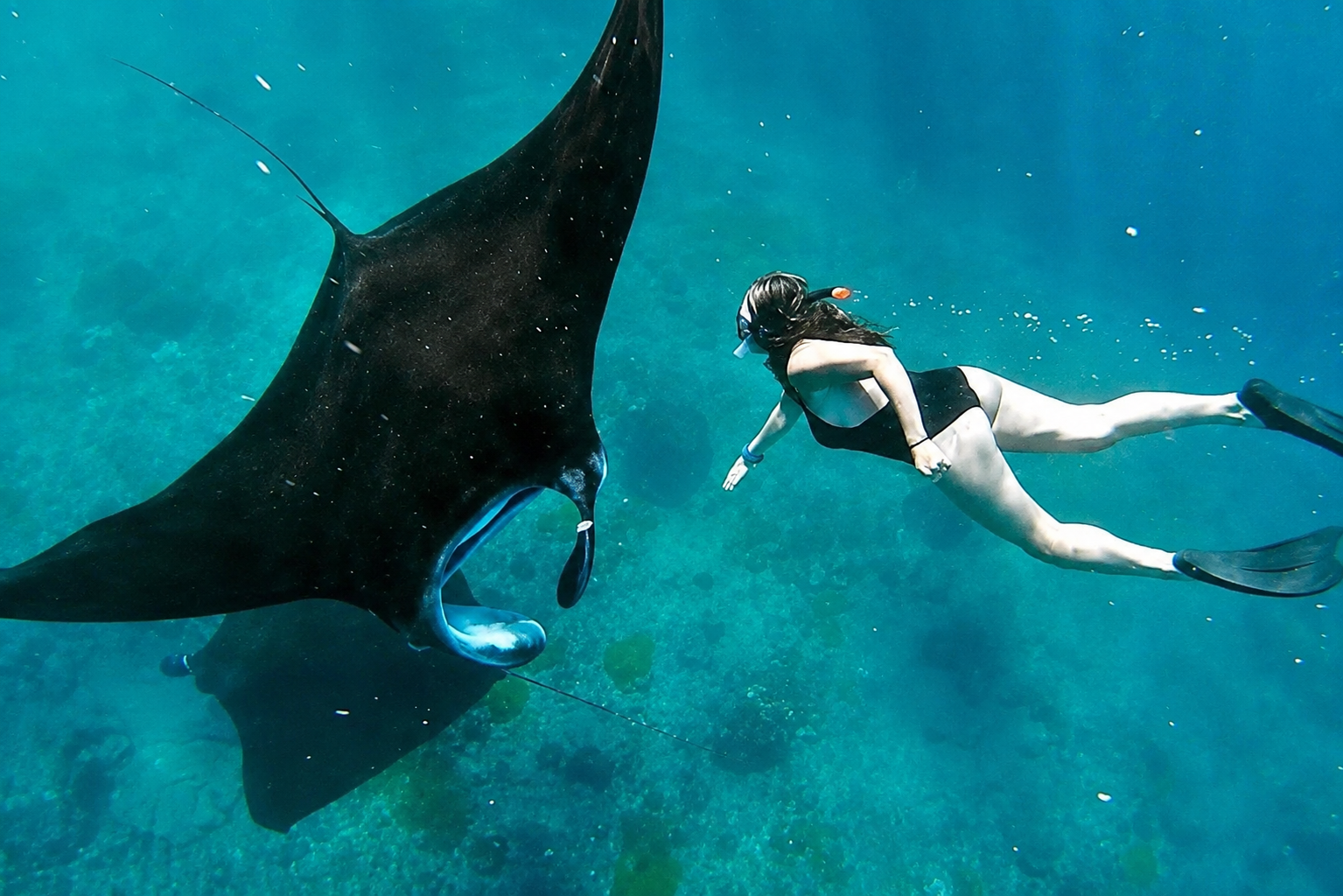 snorkeling